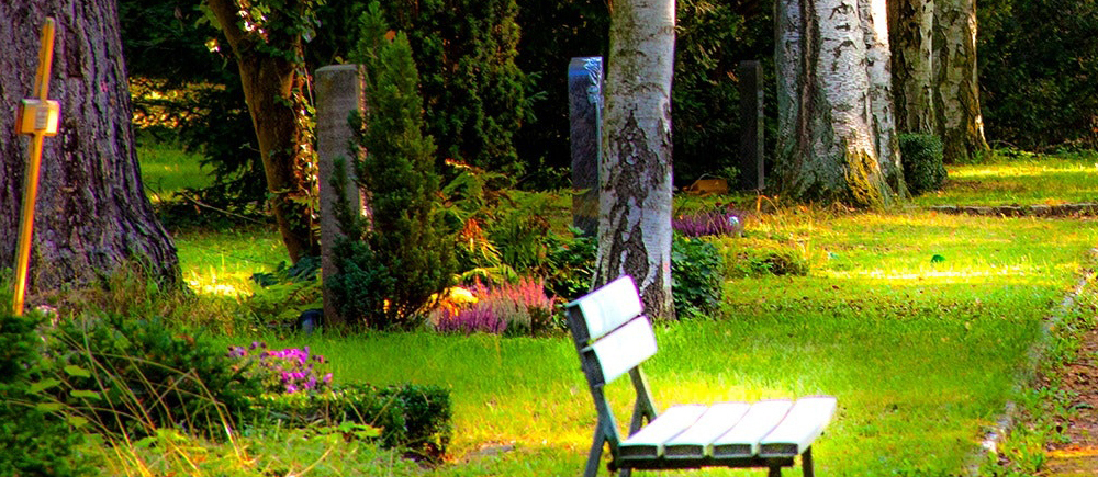 Comment entretenir un cimetière en zéro phyto ?