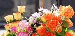 Fleurs de Toussaint
