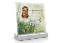 Vitro Souvenir