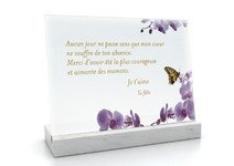 Vitro Souvenir