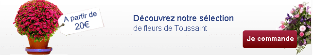 fleurs toussaint