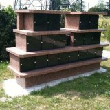 Saphir 18 cases